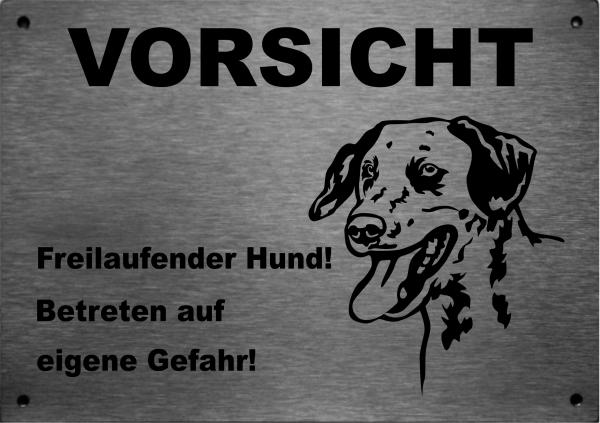 Edelstahl Warnschild Dalmatiner VORSICHT Freilaufender Hund! Betreten auf eigene Gefahr!